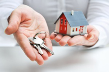 Dunedin Property Management