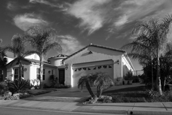 Safety Harbor Property Managers